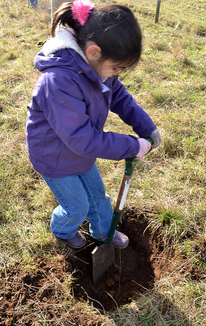 Copyright Urvashi Roe_Forty Hall Orchard_190212-29