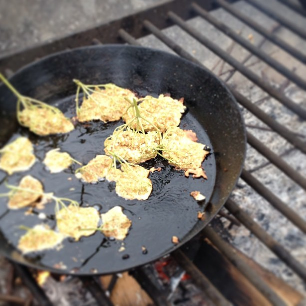 Elderflower Fritters on an open flame at @kentwellhall