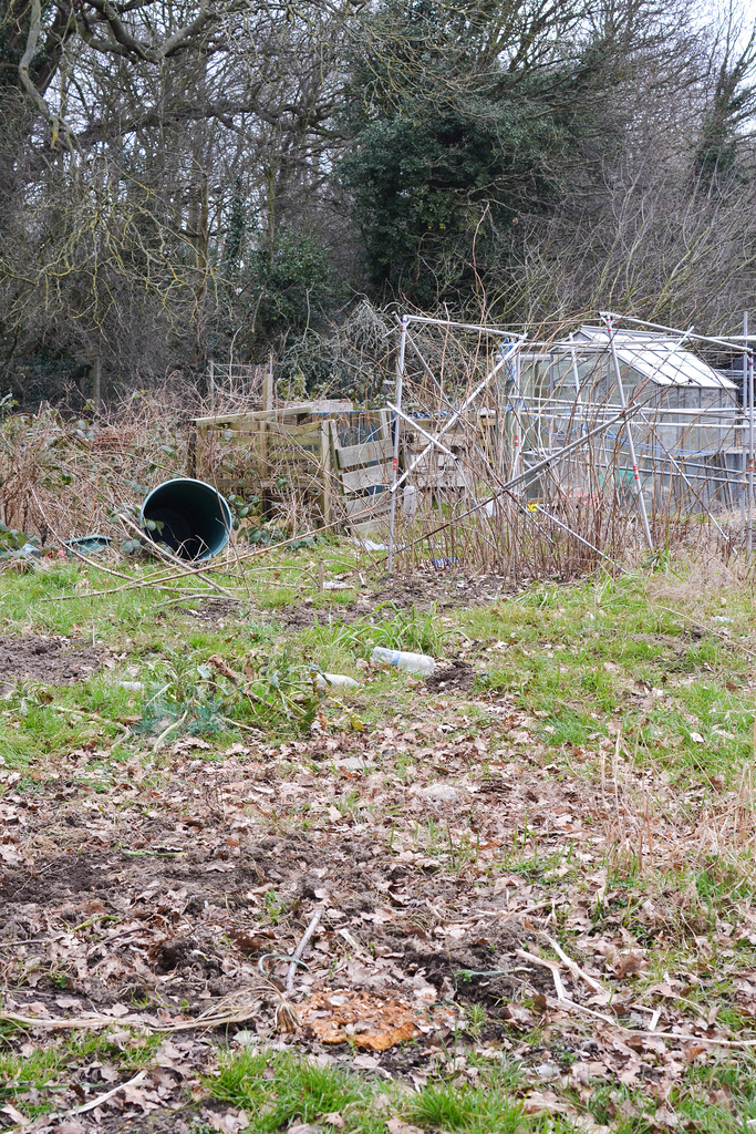 our allotment