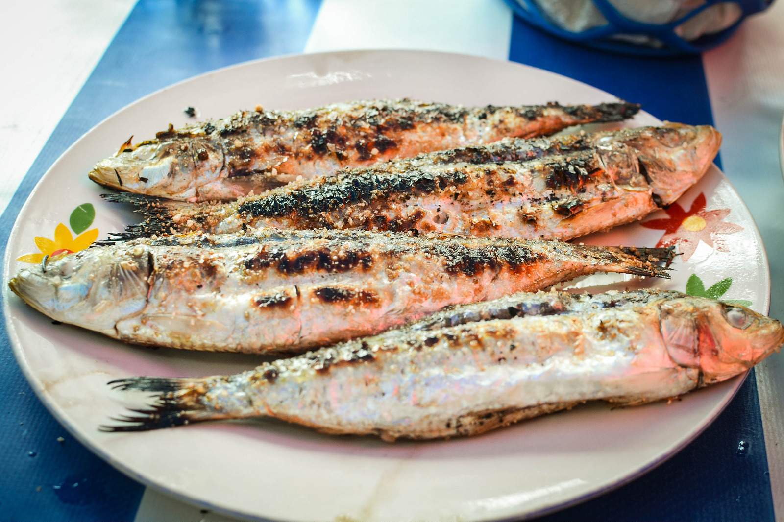 on-my-travels-the-first-and-best-sardines-i-ve-ever-eaten-essaouira