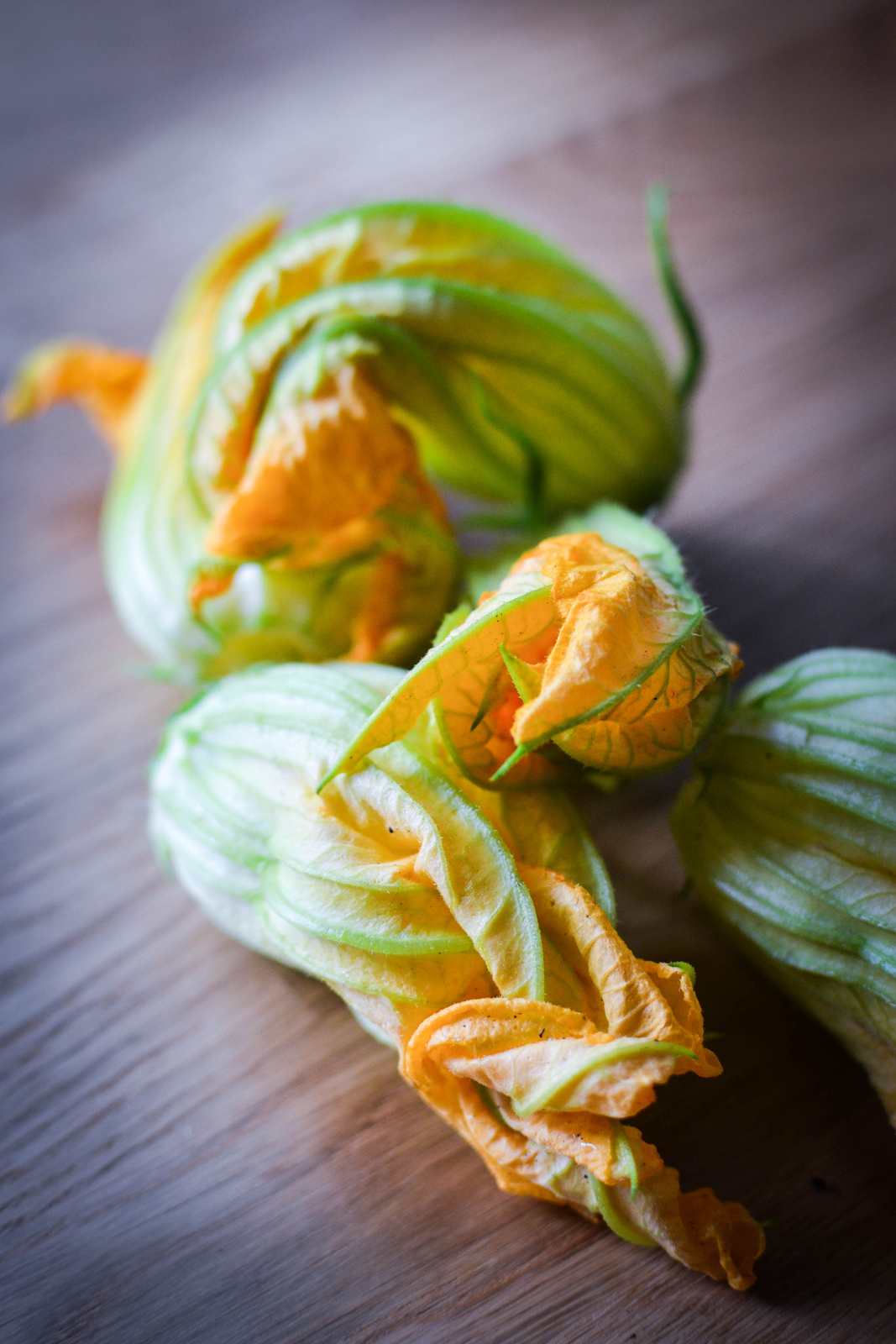 courgette flowers