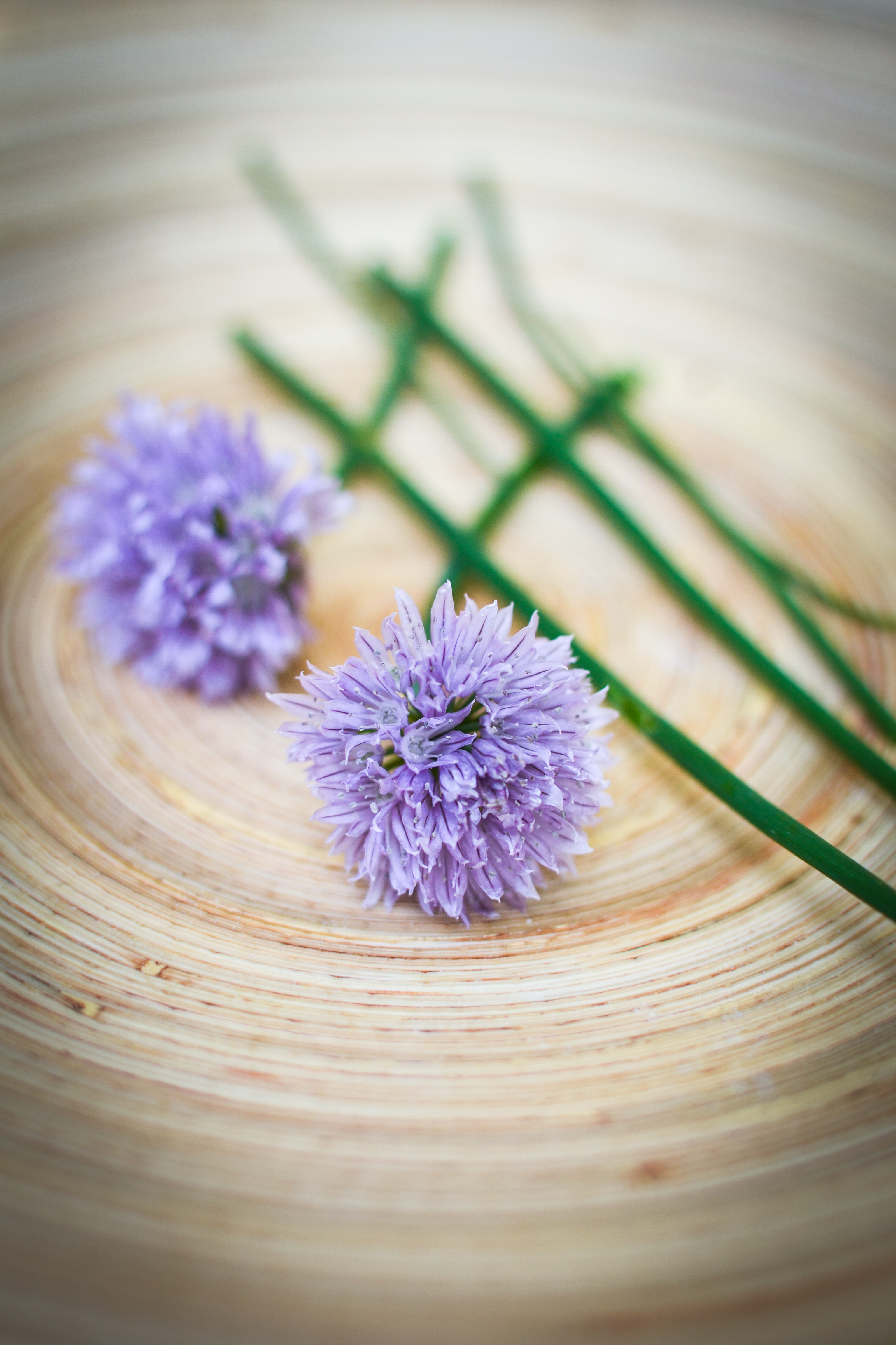 Chives